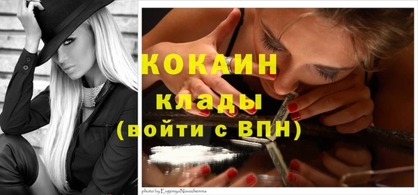 спиды Алзамай