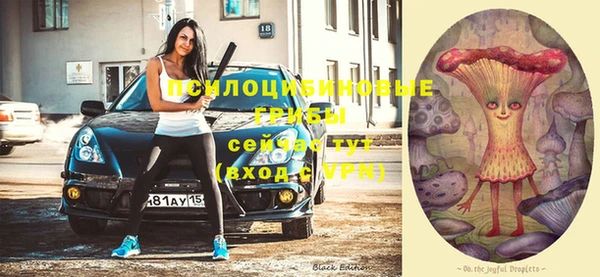 спиды Алзамай