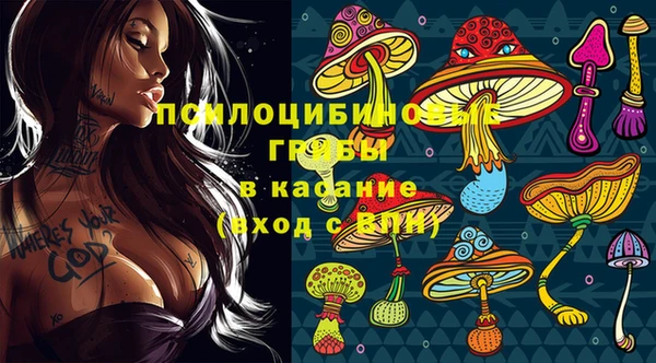 спиды Алзамай