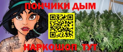 сатива Славгород