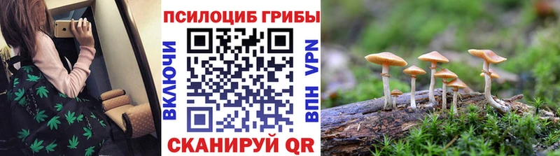 ОМГ ОМГ   Подольск  Галлюциногенные грибы мицелий 