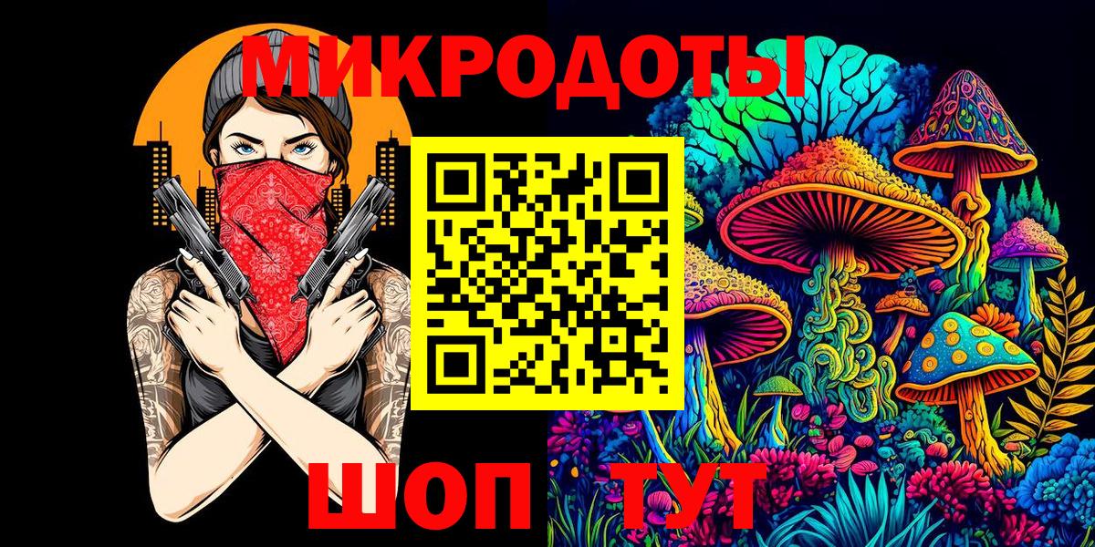 Галлюциногенные грибы Psilocybine cubensis Подольск