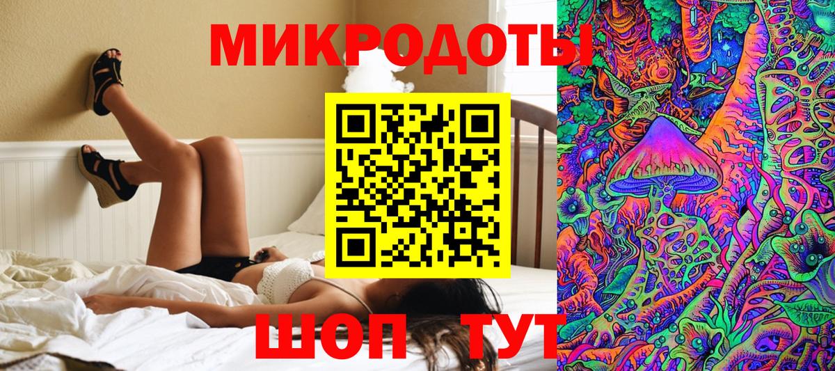 Подольск  Псилоцибиновые грибы Psilocybine cubensis  Вход с VPN 